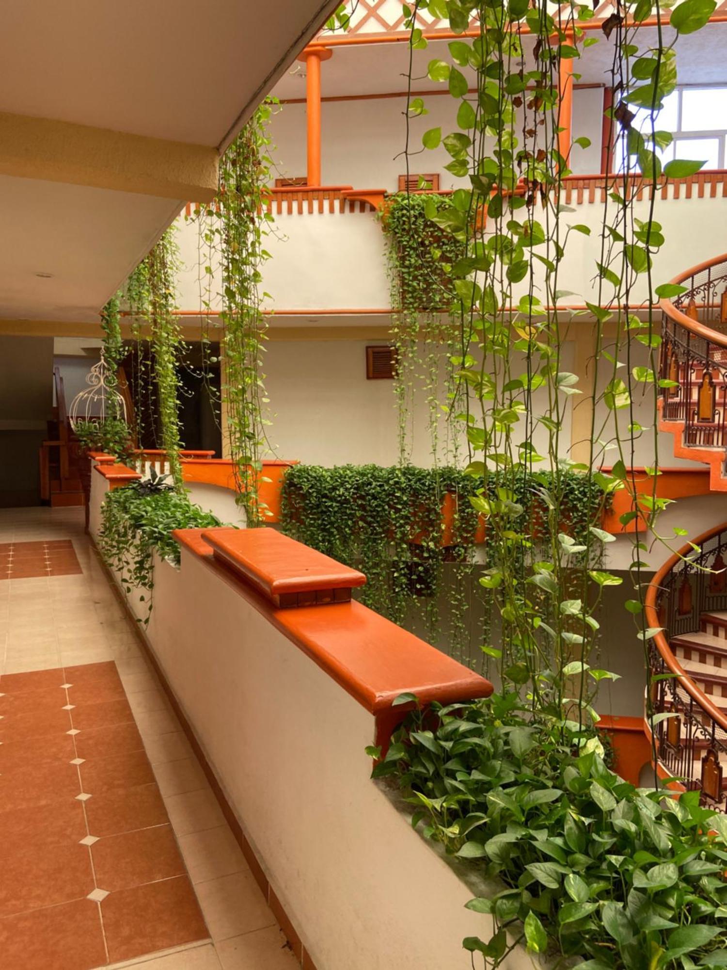 Hotel Baez Carrizal ビジャエルモッサ エクステリア 写真
