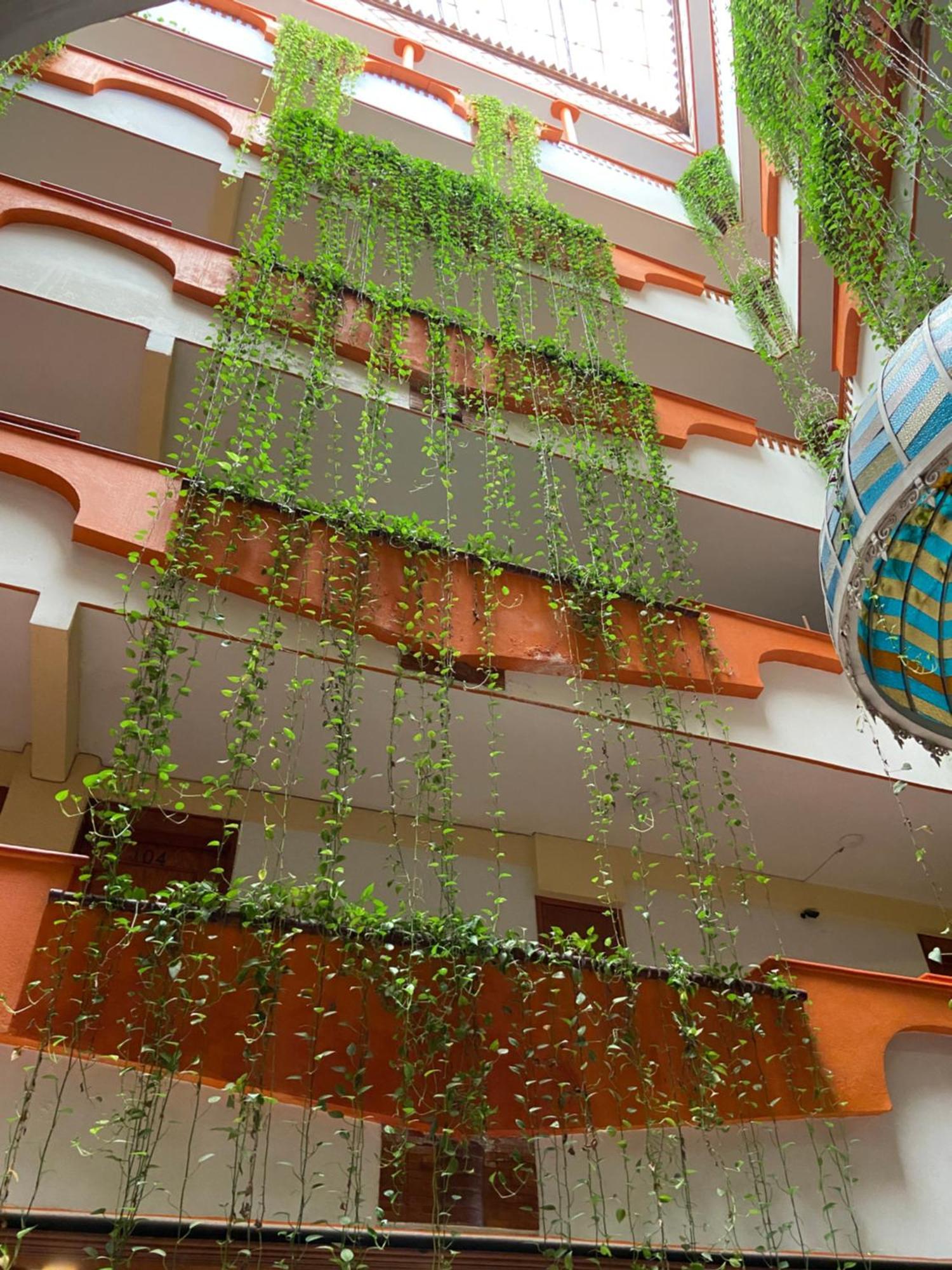 Hotel Baez Carrizal ビジャエルモッサ エクステリア 写真