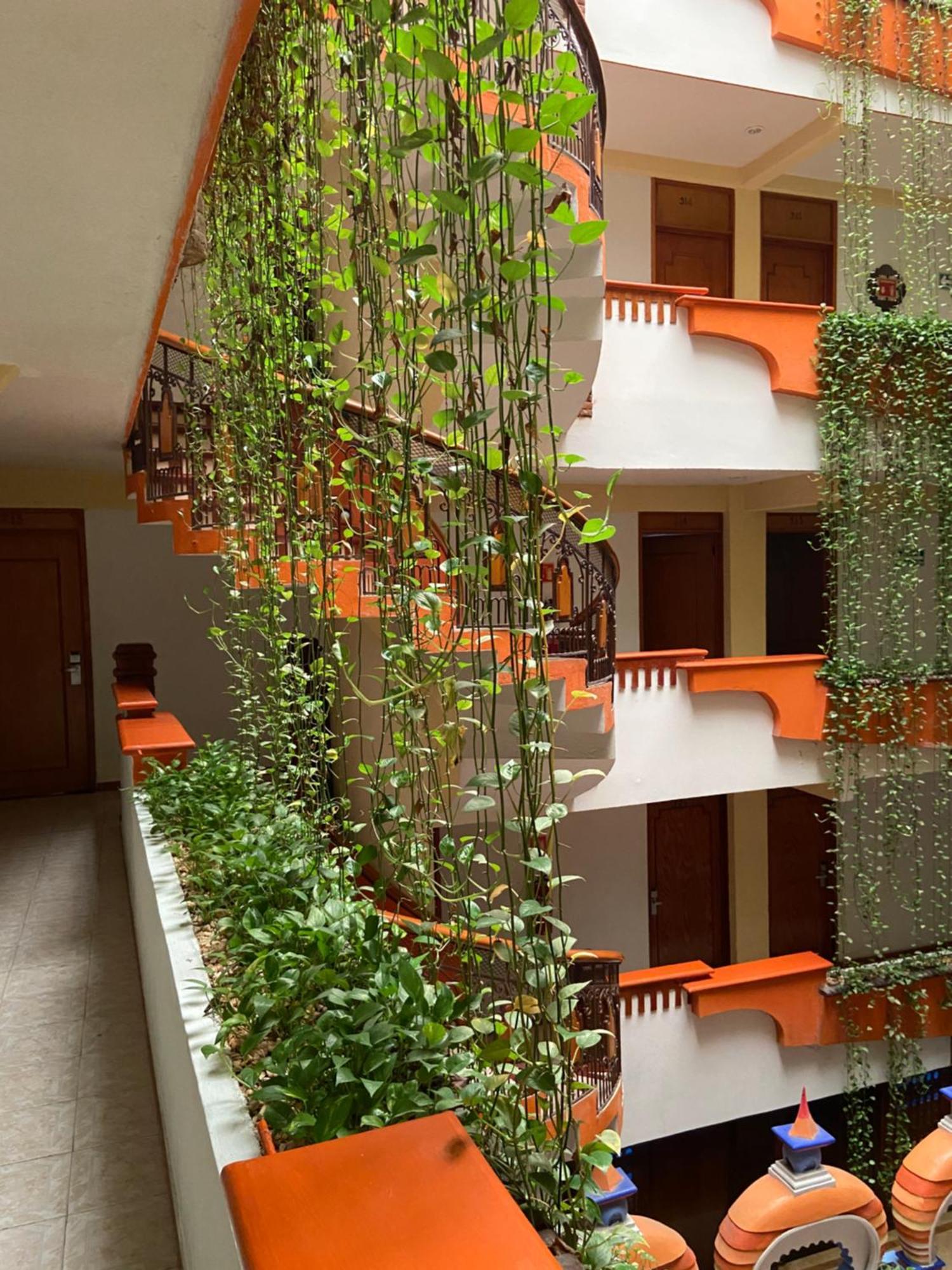 Hotel Baez Carrizal ビジャエルモッサ エクステリア 写真