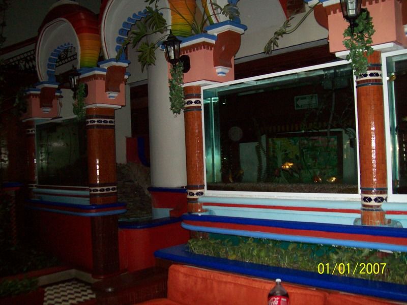 Hotel Baez Carrizal ビジャエルモッサ エクステリア 写真